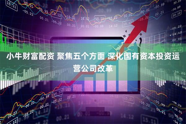 小牛财富配资 聚焦五个方面 深化国有资本投资运营公司改革
