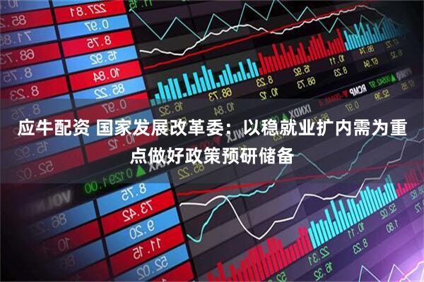 应牛配资 国家发展改革委：以稳就业扩内需为重点做好政策预研储备