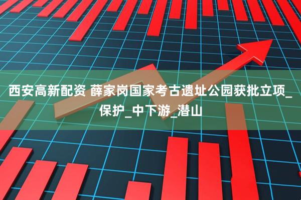 西安高新配资 薛家岗国家考古遗址公园获批立项_保护_中下游_潜山