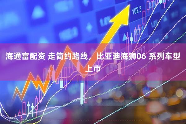 海通富配资 走简约路线，比亚迪海狮06 系列车型上市