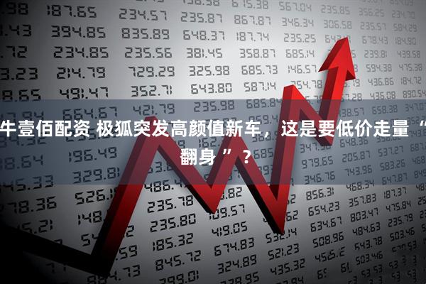 牛壹佰配资 极狐突发高颜值新车，这是要低价走量 “ 翻身 ” ？