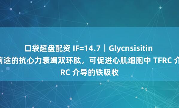 口袋超盘配资 IF=14.7｜Glycnsisitin A：一种有前途的抗心力衰竭双环肽，可促进心肌细胞中 TFRC 介导的铁吸收