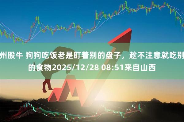 广州股牛 狗狗吃饭老是盯着别的盘子，趁不注意就吃别人的食物2025/12/28 08:51来自山西